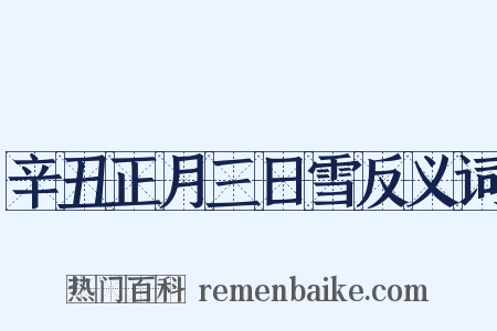 辛丑正月三日雪反义词是什么意思的图片